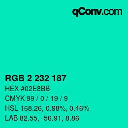 Color code: RGB 2 232 187 | qconv.com