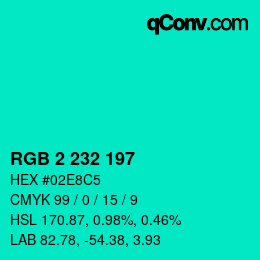Color code: RGB 2 232 197 | qconv.com