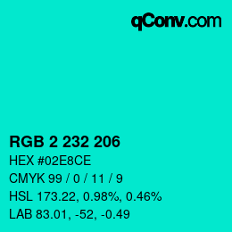 Color code: RGB 2 232 206 | qconv.com