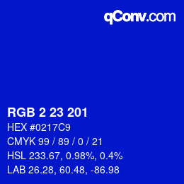 Color code: RGB 2 23 201 | qconv.com