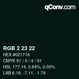 Color code: RGB 2 23 22 | qconv.com