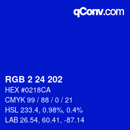 Color code: RGB 2 24 202 | qconv.com