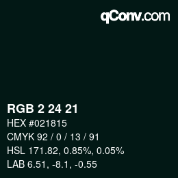颜色代码: RGB 2 24 21 | qconv.com