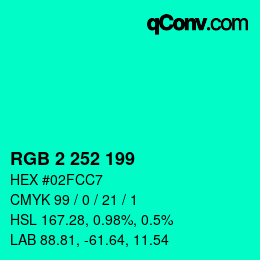 Color code: RGB 2 252 199 | qconv.com