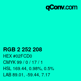 Color code: RGB 2 252 208 | qconv.com