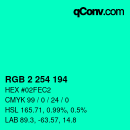 Color code: RGB 2 254 194 | qconv.com