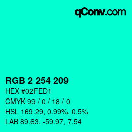 Color code: RGB 2 254 209 | qconv.com