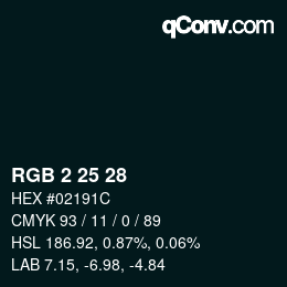 Color code: RGB 2 25 28 | qconv.com