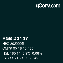 Color code: RGB 2 34 37 | qconv.com