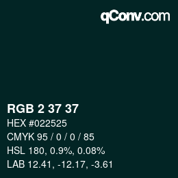 Color code: RGB 2 37 37 | qconv.com