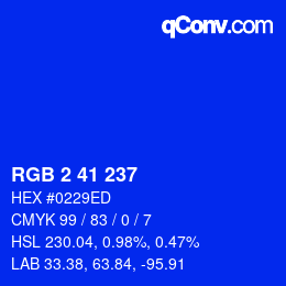 Color code: RGB 2 41 237 | qconv.com