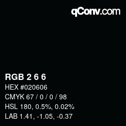 Color code: RGB 2 6 6 | qconv.com