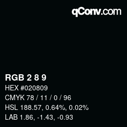 Color code: RGB 2 8 9 | qconv.com