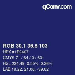 Color code: RGB 30.1 36.8 103 | qconv.com
