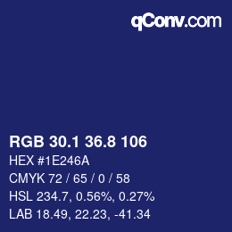 Color code: RGB 30.1 36.8 106 | qconv.com