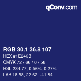 Color code: RGB 30.1 36.8 107 | qconv.com