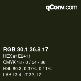 Color code: RGB 30.1 36.8 17 | qconv.com
