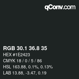 Color code: RGB 30.1 36.8 35 | qconv.com