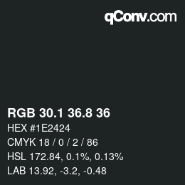 Color code: RGB 30.1 36.8 36 | qconv.com