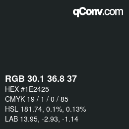 Color code: RGB 30.1 36.8 37 | qconv.com