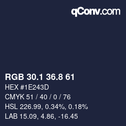 Color code: RGB 30.1 36.8 61 | qconv.com