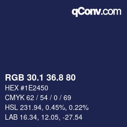 Color code: RGB 30.1 36.8 80 | qconv.com