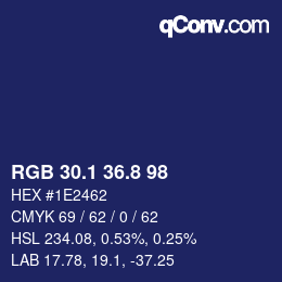 Color code: RGB 30.1 36.8 98 | qconv.com