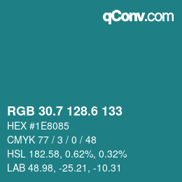 カラーコード: RGB 30.7 128.6 133 | qconv.com