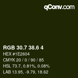 カラーコード: RGB 30.7 38.6 4 | qconv.com