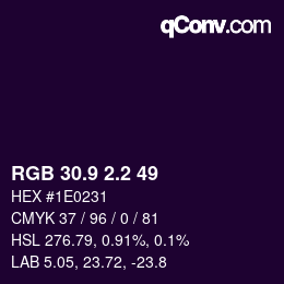 カラーコード: RGB 30.9 2.2 49 | qconv.com