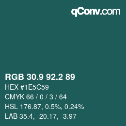 Color code: RGB 30.9 92.2 89 | qconv.com