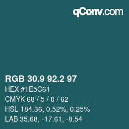 Color code: RGB 30.9 92.2 97 | qconv.com