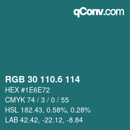 カラーコード: RGB 30 110.6 114 | qconv.com