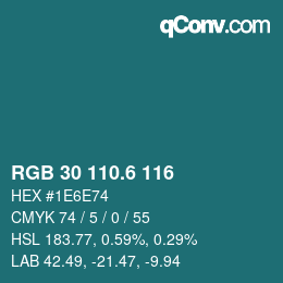 カラーコード: RGB 30 110.6 116 | qconv.com