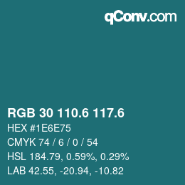 カラーコード: RGB 30 110.6 117.6 | qconv.com