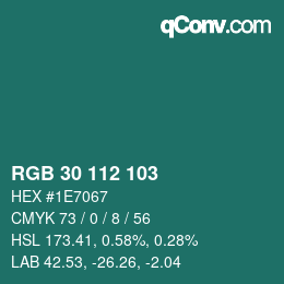 Color code: RGB 30 112 103 | qconv.com