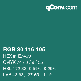 Color code: RGB 30 116 105 | qconv.com