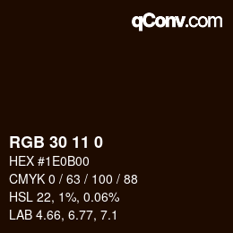 カラーコード: RGB 30 11 0 | qconv.com