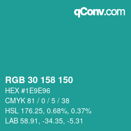 Color code: RGB 30 158 150 | qconv.com