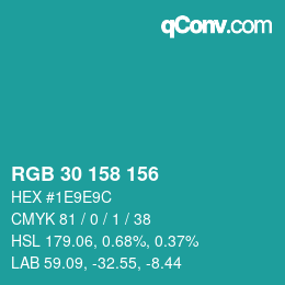 Color code: RGB 30 158 156 | qconv.com