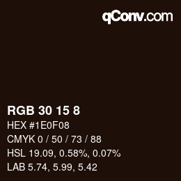 カラーコード: RGB 30 15 8 | qconv.com