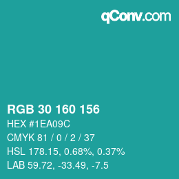 Color code: RGB 30 160 156 | qconv.com