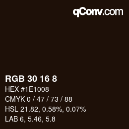 Color code: RGB 30 16 8 | qconv.com