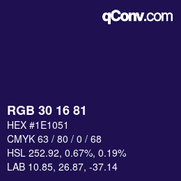 Color code: RGB 30 16 81 | qconv.com