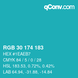 Color code: RGB 30 174 183 | qconv.com