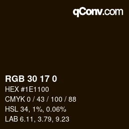 Color code: RGB 30 17 0 | qconv.com
