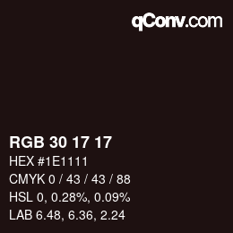 Color code: RGB 30 17 17 | qconv.com