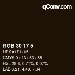 カラーコード: RGB 30 17 5 | qconv.com