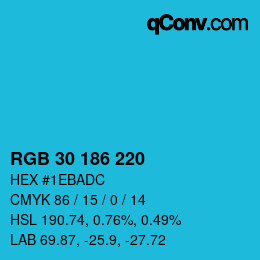 Color code: RGB 30 186 220 | qconv.com