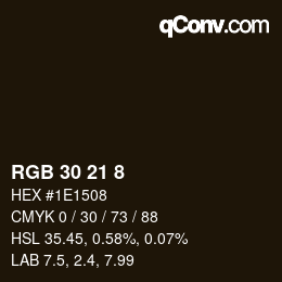 Color code: RGB 30 21 8 | qconv.com